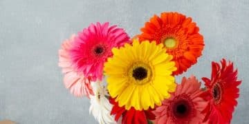 Shopee's Mother's Day Sale: Gifts Under $10 to Show Mom You Care - Cover Image