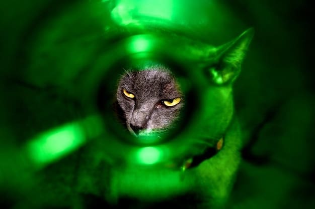 A close-up shot of a modern mirrorless camera display, showing a green box locked onto a pet's eye, illustrating advanced AI autofocus tracking. The focus is sharp and the scene is dynamic.