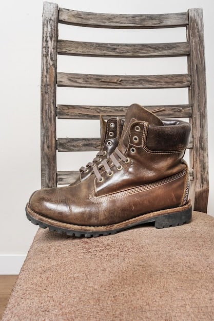 A pair of classic, high-quality leather boots are displayed on a clean, neutral background. The boots are ankle-height and feature a sleek, minimalist design. The image highlights the texture and sheen of the leather, showcasing the investment-worthy quality of the footwear.