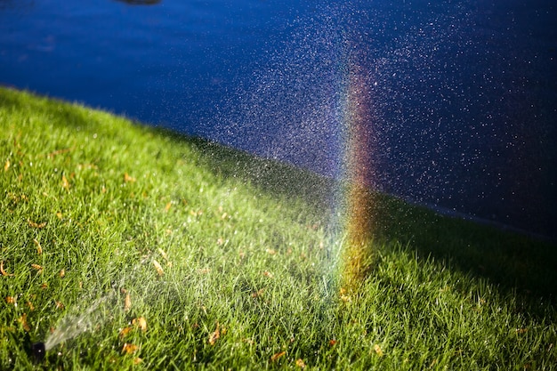 A close-up shot of a smart irrigation system in action, watering a lush green lawn with precision. The system is connected to a smartphone app, showing real-time data on water usage and soil moisture levels. The background features a variety of drought-tolerant plants and shrubs.
