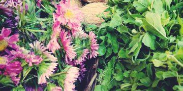 Gardening for Beginners: Grow Your Own Vegetables and Herbs at Home - Cover Image