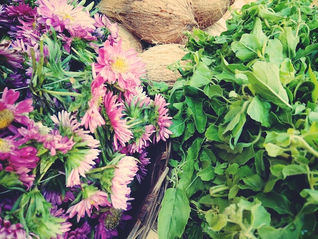 Gardening for Beginners: Grow Your Own Vegetables and Herbs at Home