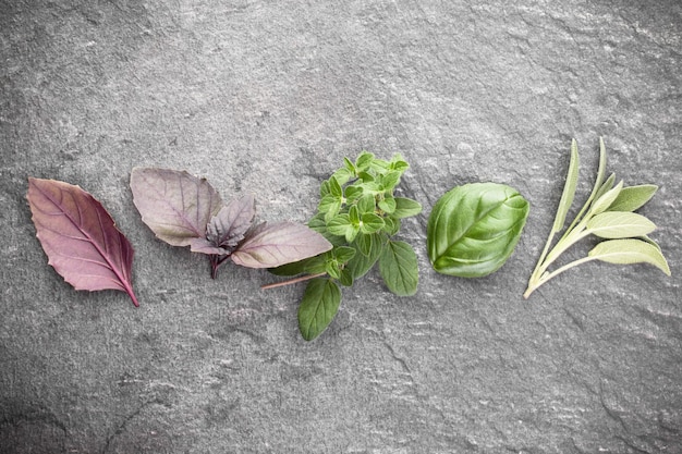 A close-up shot of various herbs, such as basil, mint, and rosemary, arranged in small pots. The image conveys freshness and the ease of growing herbs at home, perfect for illustrating plant selection in the context of Gardening for Beginners: How to Grow Your Own Vegetables and Herbs at Home.