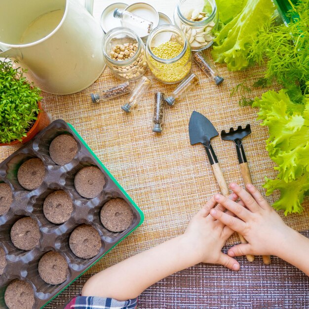 Hands carefully planting a small tomato seedling into a garden bed, with gardening tools and other seedlings nearby. The focus is on the planting process, illustrating the practical steps involved in Gardening for Beginners: How to Grow Your Own Vegetables and Herbs at Home.