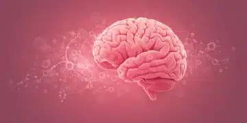 Abstract illustration of the gut-brain axis connection in women